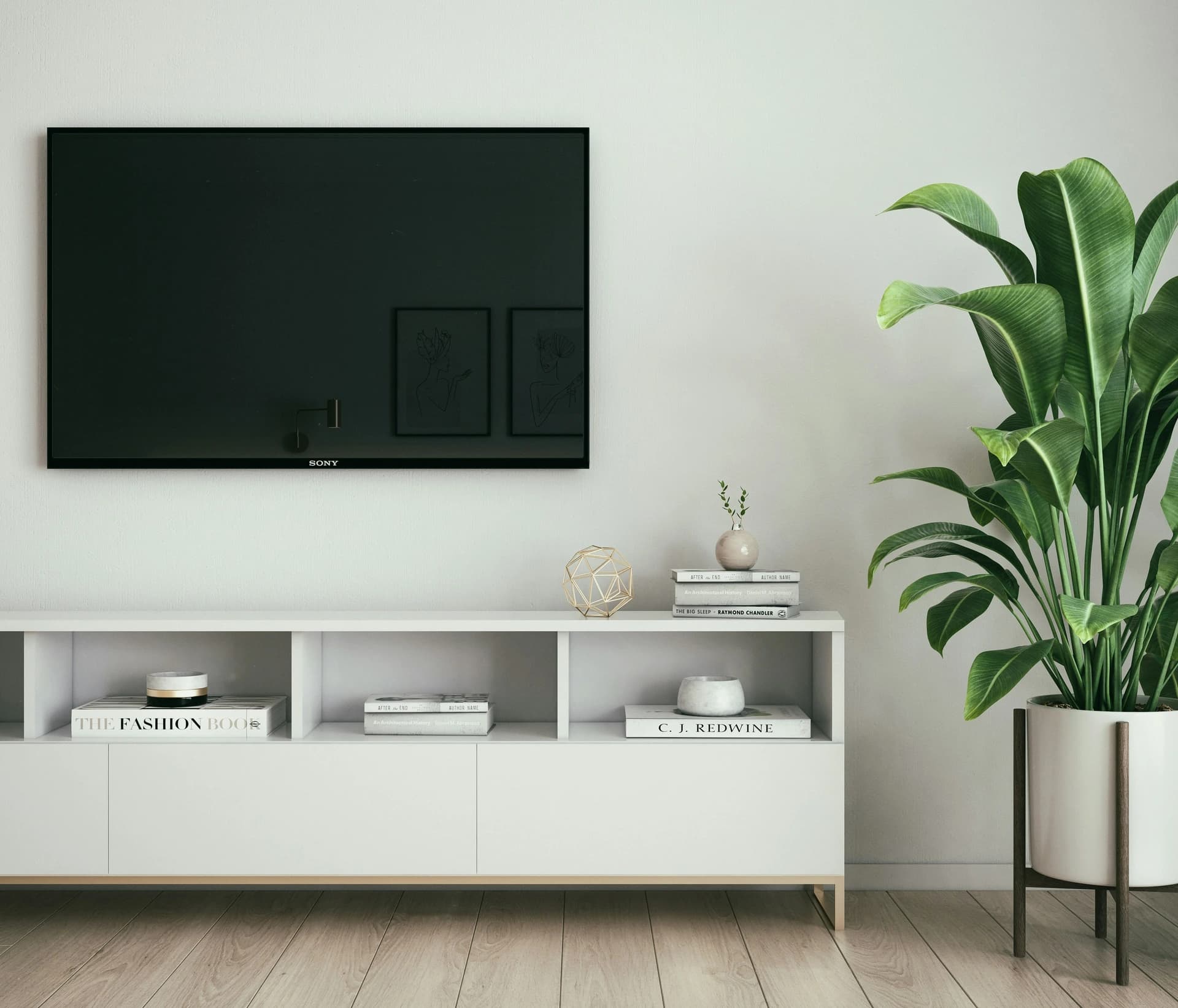 Modern living room with white cabinet, black TV, white sofa, and green potted plant.